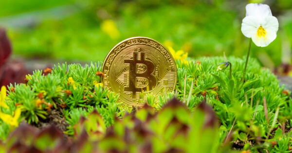 Bill Miller: Bitcoin- Still A Safe Investment Despite Market Crash