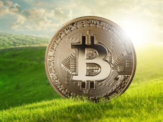 Elon Musk’s Concerns Over Bitcoin's Energy Consumption Are Misguided, Says Ark Invest