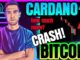 BITCOIN & CARDANO CRASH (Is The Crypto Bear Market Here?)