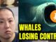 HERE'S WHY BITCOIN WHALES ARE LOSING CONTROL