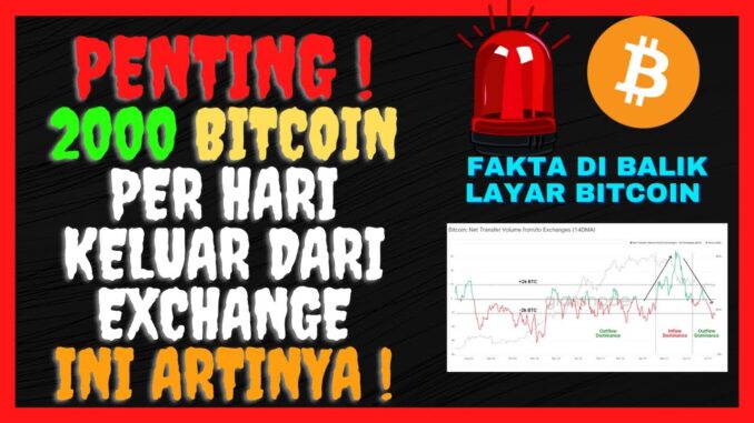 DATA INI MENUNJUKKAN BITCOIN DI FASE YANG PENTING ! PREDIKSI DAN UPDATE ANALISA TEKNIKAL BITCOIN !