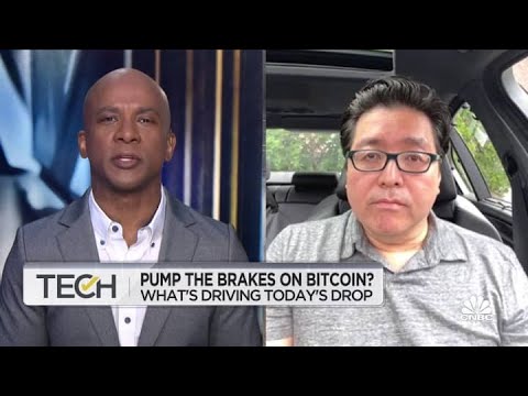 Why Tom Lee is still bullish on bitcoin hitting $100K or higher