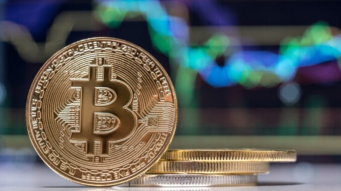 Bitcoin Transaction Volume Hits a Monthly High as Crypto Adoption Surged by Over 881% Last Year