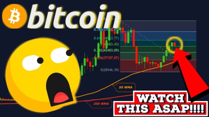 🚨URGENT!!!!!!! ALL BITCOIN HOLDERS MUST SEE THIS!!!!!!!!
