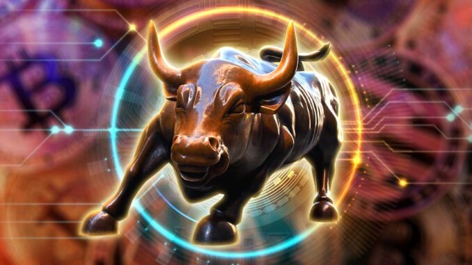 bitcoin price prediction bull market