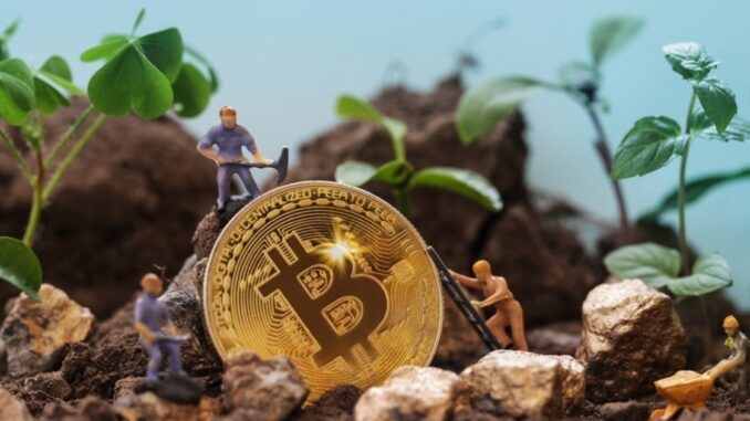 Publicly-Traded Bitcoin Miners’ Accumulation Goes a Notch Higher