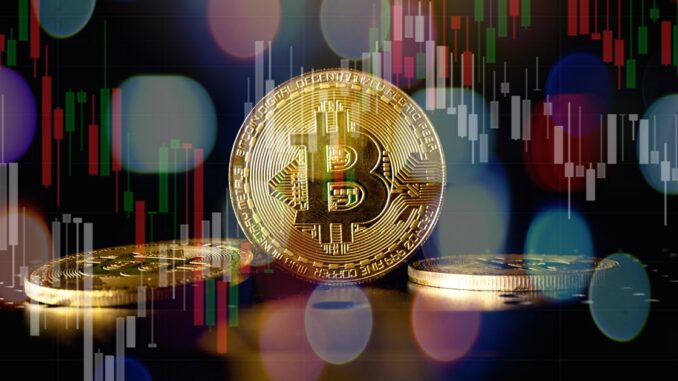 The Number of Bitcoin Addresses in Profitability Breaks the Record, Price Inches Closer to ATH of $64,800