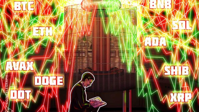 BTC, ETH, BNB, SOL, ADA, XRP, DOT, AVAX, DOGE, SHIB