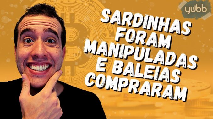 ANALISE BITCOIN HOJE APONTA ALTA DO BTC E DO ETHEREUM HOJE (ETH); VAI VENDER? - CRYPTO DAILY #35