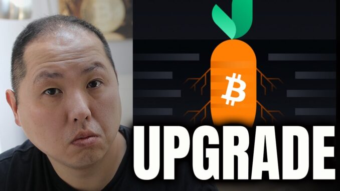 BITCOIN'S BIG TAPROOT UPGRADE IS HERE