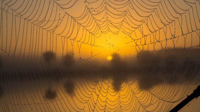 What Is Web 3? Here’s How Future Polkadot Founder Gavin Wood Explained It in 2014