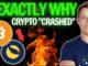 EXACTLY WHY BITCOIN & CRYPTO “CRASHED”! (Wyckoff Update)