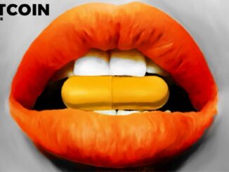 Superfood Chain Everbowl Adopts Bitcoin Standard