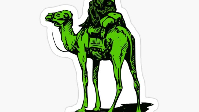 Bitcoin Seized from Silk Road to Pay Ross Ulbricht's $183M Debt to the US Govt. 12