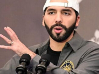 "Stop Looking at the Graph and Enjoy Life": El Salvador's President on BTC Price Slump