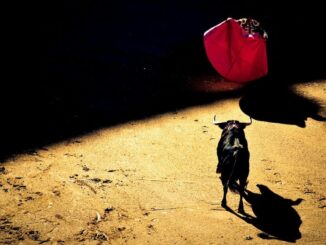 The outside day breakout suggests resumption of a broader uptrend. (TradingView)