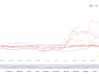 Privacy Coins Surge 80%, Crypto Investors Seek Privacy, Encrypted Bitcoin