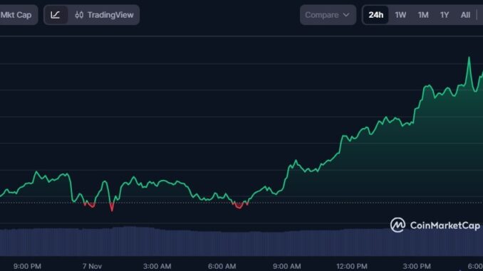 Zcash Leads Privacy Token Rally as Market Cap Surges