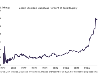 Privacy Coins Outperform as Crypto Investors Turn Defensive