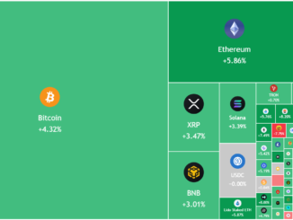 Is The Bull Market Back?